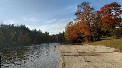 In 1902, Pennsylvania began buying nearly treeless, fire-damaged land for just 18 cents to  an acre; decades of replanting added more than a million trees and helped build Promised Land State Park