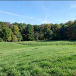 Two Pennsylvania hunting clubs own 5,500 acres of private land; state Supreme Court ruling changes when game wardens can enter without a warrant | World News