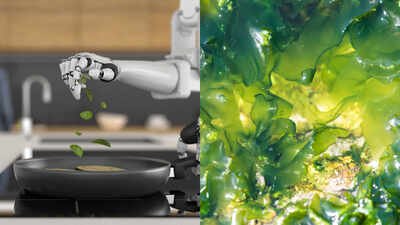 Dutch scientists built a tiny robotic arm using living algae and two layers of gel; controlled by light, the two-centimetre strip grasped a metal ball and lifted a rubber ring underwater without a conventional motor