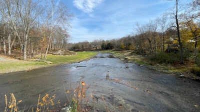 In 2019, New Jersey completed the removal of the old Columbia Dam and reopened about 14 km of river; a 2026 study found juvenile eels, sea lampreys and American shad upstream after years of monitoring