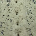 Scientists found mysterious lines of holes on the Pacific seafloor; even sediment samples failed to reveal what made them |