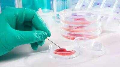 Scientists turn blood-cell precursors from an 80-year-old donor into neural stem cells with epigenetic age below 20; 100-day process reveals cellular rejuvenation could aid aging and Alzheimer’s research