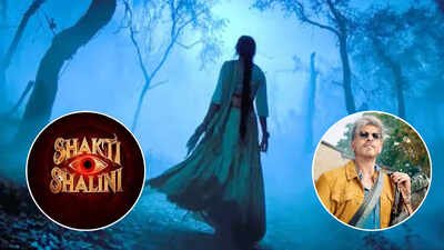 ‘Shakti Shalini’ vs ‘King’: Is Aneet Padda’s horror-comedy sticking to December 24 release despite clash with Shah Rukh Khan’s film? |