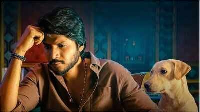‘Sigma’ box office collection day 7: Jason Sanjay’s film earns Rs 8.27 cr India net; Soori’s film reaches Rs 100.58 cr | Tamil Movie News