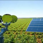 Meet Daniel Cox, a Sydney student who built a solar-thermal weed-control system that achieved 92% weed mortality without chemicals |