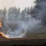 Stubble Burning: Centre asks states to go into ‘mission mode’ to curb stubble burning as farm fires rise in MP, Rajasthan | India News