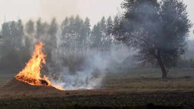 Stubble Burning: Centre asks states to go into ‘mission mode’ to curb stubble burning as farm fires rise in MP, Rajasthan | India News