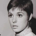Jamie Lee Curtis remembers Susan Saint James after her passing: ‘I LOVED Susan and her free spirit…’ |