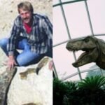 In 1987, an amateur fossil hunter found a T. rex in South Dakota; the .8 million skeleton now stands in Abu Dhabi