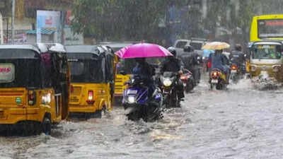 Tamil Nadu school holiday update: Check district-wise school status for October 23