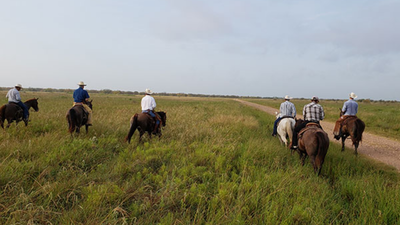Texas ranchers blocked well operators from a 1,604-acre tract in 2004; on October 1, an appeals court ruled an oil company may cross the land to plug a shut-in well 15 to 20 yards from the San Antonio River
