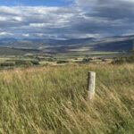In Colorado, a family spent more than 60 years assembling a working ranch; after it was once listed for 0 million, Susan Nottingham has now permanently protected 18,484 acres and their historic water rights
