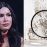 In 2016, Megan Fox bought a .3 million Malibu home, then sued for  million over alleged mold and other defects; after a three-year court fight, she reportedly accepted a 0,000 settlement in 2021