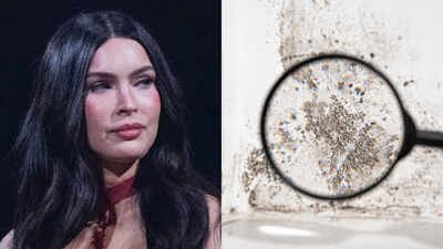 In 2016, Megan Fox bought a .3 million Malibu home, then sued for  million over alleged mold and other defects; after a three-year court fight, she reportedly accepted a 0,000 settlement in 2021