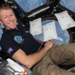 In 2015, 2kg of rocket seeds went to the space station; after their return, 600,000 UK children helped test them, and researchers found they grew more slowly but remained viable