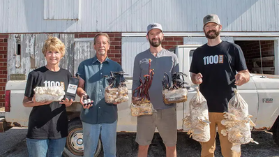 Two Iowa farmers gave up pigs and started growing mushrooms; their abandoned livestock buildings became an artisan food business | World News