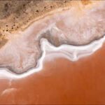 NSW and Australian governments buy 74,000-hectare outback station, protecting state’s first pink lakes and habitat for 70+ threatened species, including brolga, pink cockatoo and slender darling pea