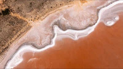 NSW and Australian governments buy 74,000-hectare outback station, protecting state’s first pink lakes and habitat for 70+ threatened species, including brolga, pink cockatoo and slender darling pea