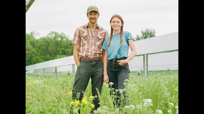 Two young Minnesota farmers started grazing sheep under solar panels in 2017; their flock has now grazed more than 6,500 acres of solar farms | World News