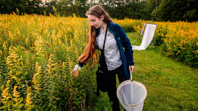 Meet Violet Clinton: 16-year-old New York student who tracked 11,377 moths in seven months using UV lights and beer-soaked T-shirts to study overlooked pollinators |