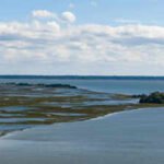 University of Georgia secures  million NOAA grant to plan restoration of 326 acres of salt marsh across four states using dredged sediment﻿ | World News