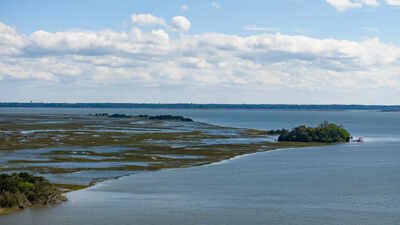 University of Georgia secures  million NOAA grant to plan restoration of 326 acres of salt marsh across four states using dredged sediment﻿ | World News