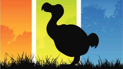 US biotech firm completes 95% of dodo’s genome and identifies gene-editing targets; could the extinct bird come alive again through its closest living relative, the Nicobar pigeon?