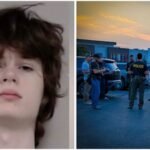 Alexandros Paporakis: US temple attack plot: Teen’s alleged manifesto describes Indians as ‘subhumans’