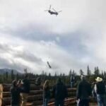 Washington flew 6,000 logs by helicopter into 24 miles of remote streams to rebuild salmon spawning grounds and help creeks hold water | World News