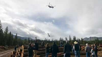 Washington flew 6,000 logs by helicopter into 24 miles of remote streams to rebuild salmon spawning grounds and help creeks hold water | World News