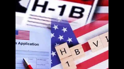 Laid off on H-1B, 1 interview after 100 applications: Redditor shares harrowing job situation in US