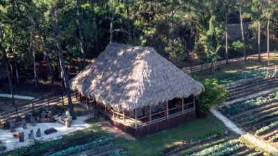 In 1981, Francis Ford Coppola found an abandoned Belize jungle lodge and turned it into a family retreat; 12 years later Blancaneaux opened as a 20-room resort, now drawing about 85% of its power from a creek