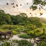 Stark 73% decline in the average size of monitored wildlife populations since 1970, India presents ground for hope: WWF Living Planet Report | India News