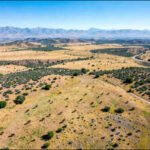 In the early 1960s, a Texas oilman started Y Bar O Ranch with 3,520 acres; six decades later, the family’s 29,071-acre Big Bend property sold after being listed for .5 million |