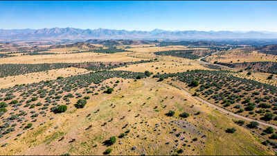 In the early 1960s, a Texas oilman started Y Bar O Ranch with 3,520 acres; six decades later, the family’s 29,071-acre Big Bend property sold after being listed for .5 million |