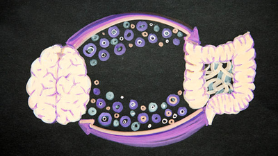Your gut bacteria may reveal how quickly your brain is ageing; UCLA researchers found specific microbes and chemical byproducts linked to older-looking brains, poorer memory, focus and mood