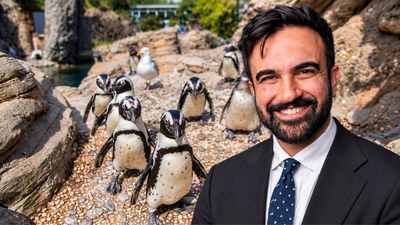 Zohran Mamdani announces  million investment in New York Aquarium renovation; money will support upgrades to Sea Cliffs exhibit housing seals, sea otters and sea lions | World News