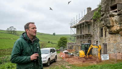Three falcons died and eggs were damaged after building work near a £150,000 prize-winning falcon; a £500,000 neighbour dispute now faces a potential Supreme Court appeal﻿ | World News